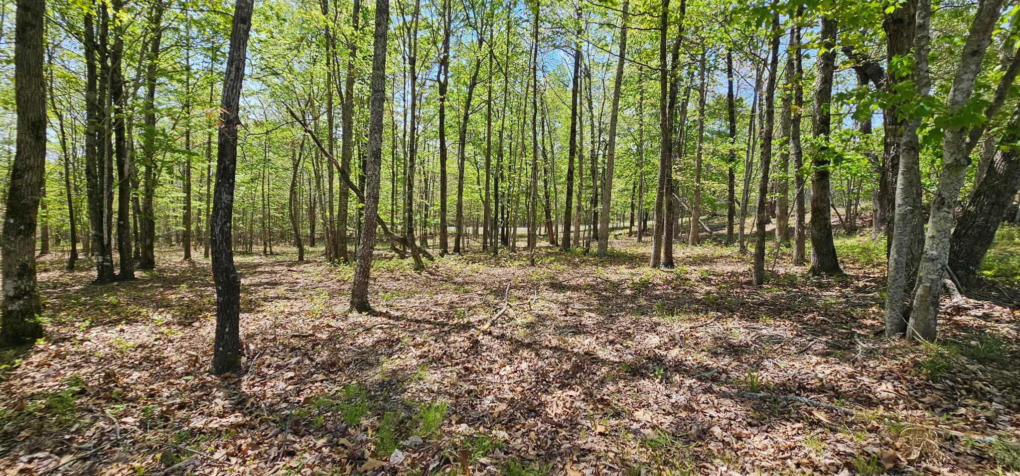 100 Bluff View Drive Dunlap, TN 37327 - Photo 6 of 28 20260421_133424