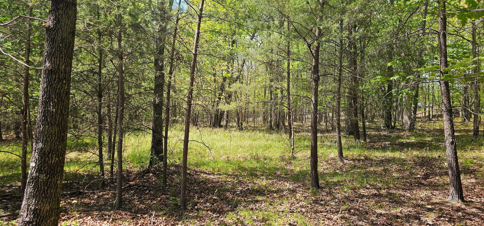 100 Bluff View Drive Dunlap, TN 37327 - Photo 7 of 28 20260421_133741