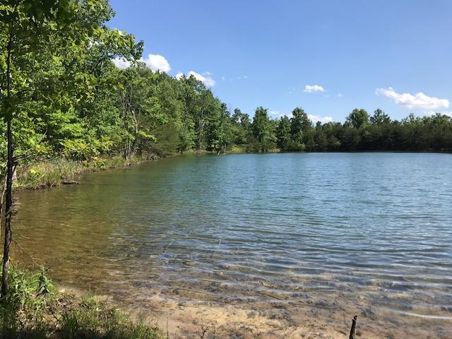 100 Bluff View Drive Dunlap, TN 37327 - Photo 8 of 28 bluff101