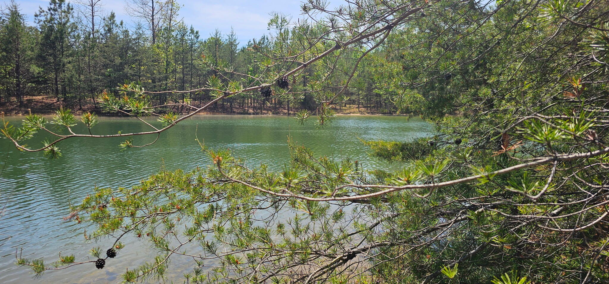 100 Bluff View Drive Dunlap, TN 37327 - Photo 9 of 28 20260421_133828