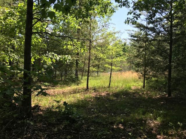 100 Bluff View Drive Dunlap, TN 37327 - Photo 10 of 28 bluff107