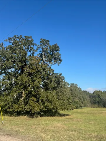 $175,000 | 11 Boyd Road, Madisonville, TX 77864