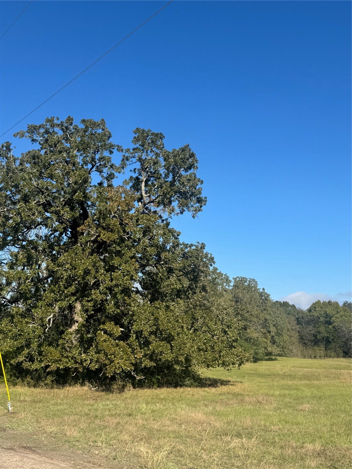 11 Boyd Road Madisonville, TX 77864 - Photo 12 of 17 a view of lake