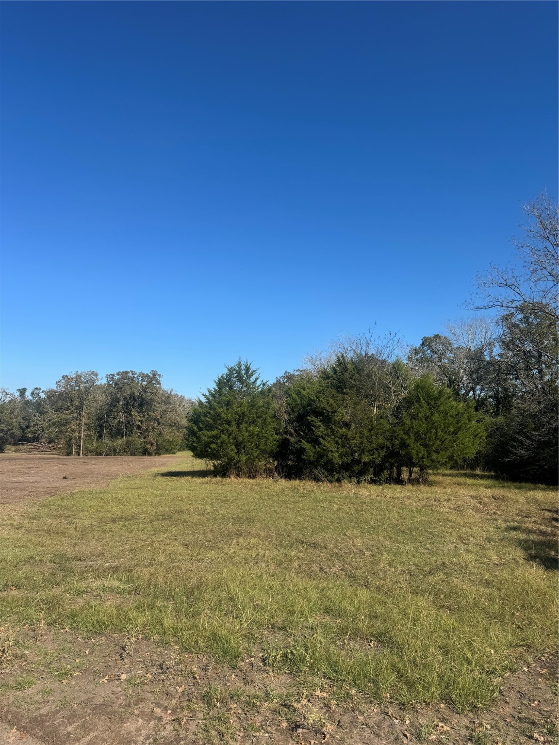 11 Boyd Road Madisonville, TX 77864 - Photo 15 of 17 a view of lake and mountain view