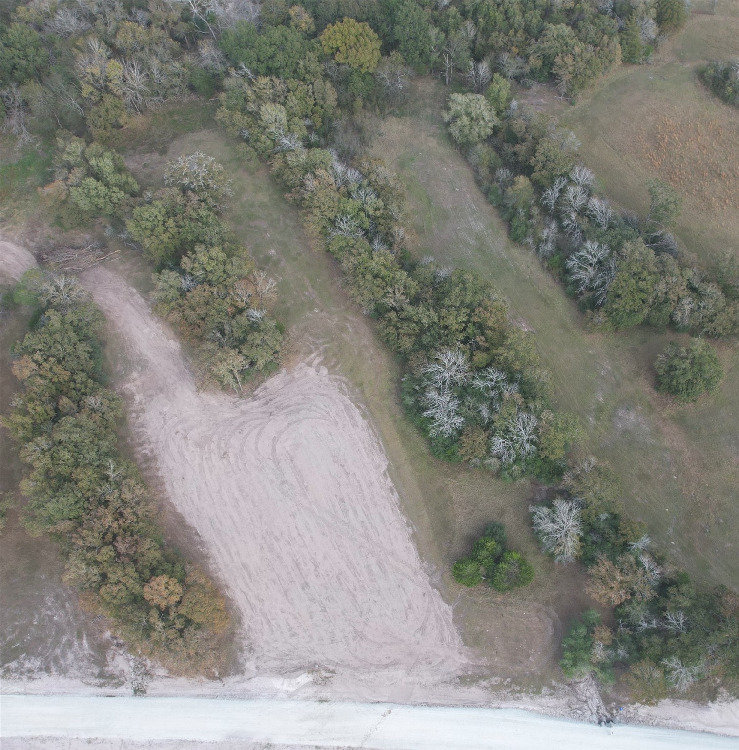 11 Boyd Road Madisonville, TX 77864 - Photo 5 of 17 a view of a dry yard with trees