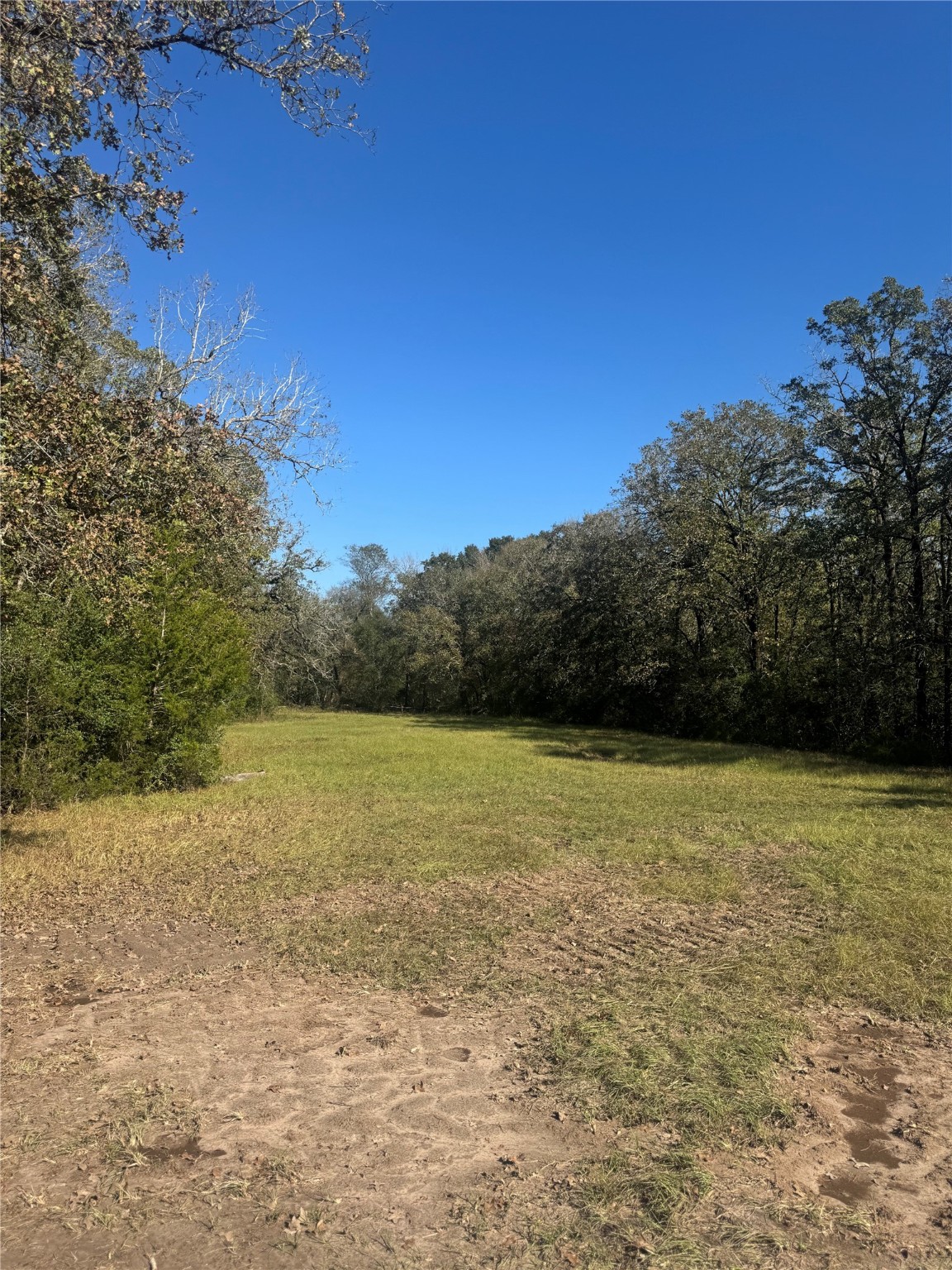 11 Boyd Road Madisonville, TX 77864 - Photo 7 of 17 a view of an ocean