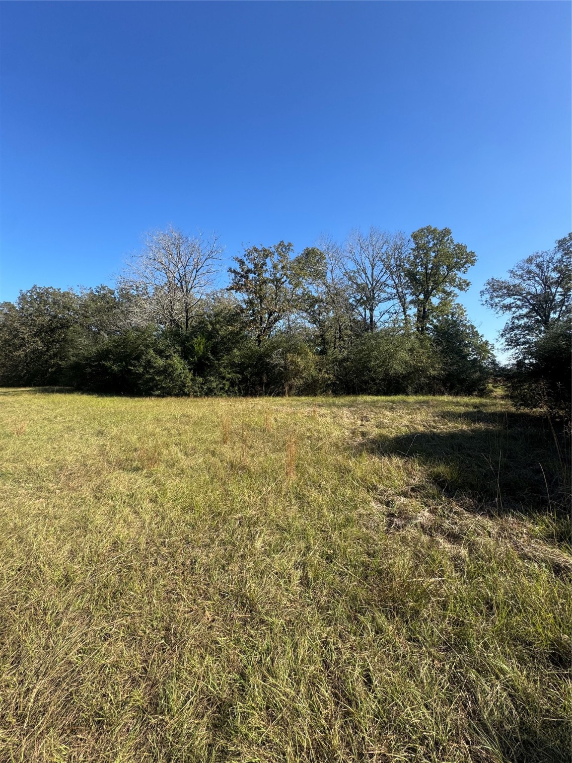 11 Boyd Road Madisonville, TX 77864 - Photo 9 of 17 a view of lake with green space