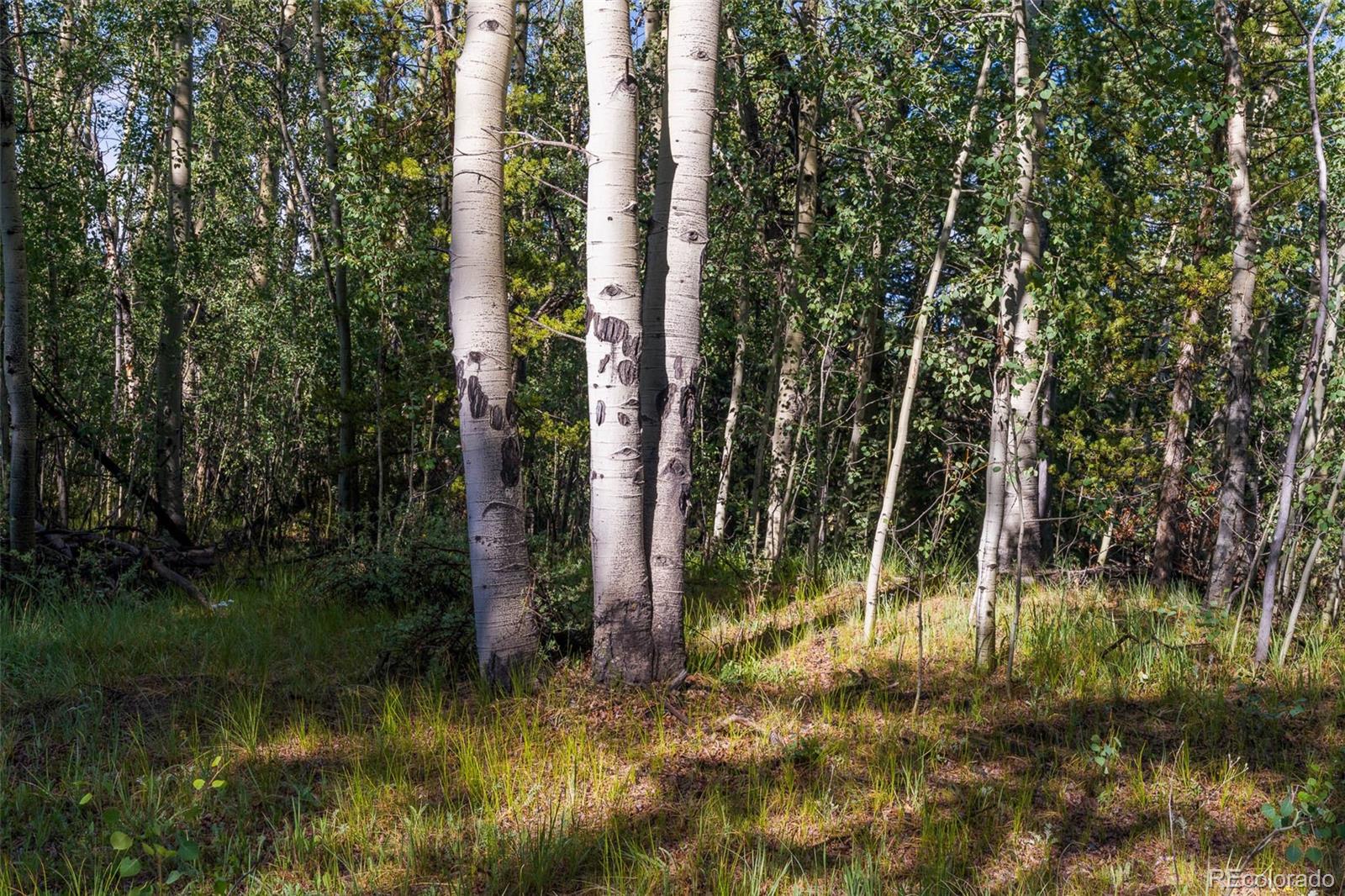 Lot 1 Snow Cap Peaks Road Fairplay, CO 80440 - Photo 16 of 20