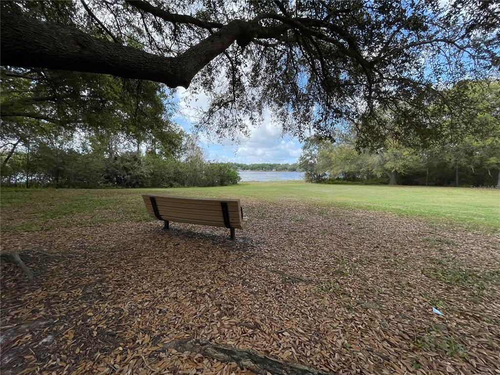 1073 Turtle Lake Court Ocoee, FL 34761 - Photo 34 of 46 a view of a field with an tree