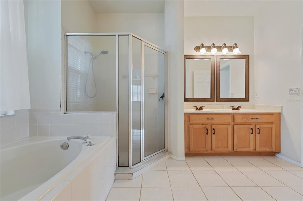 1073 Turtle Lake Court Ocoee, FL 34761 - Photo 36 of 46 a bathroom with a tub sink and mirror