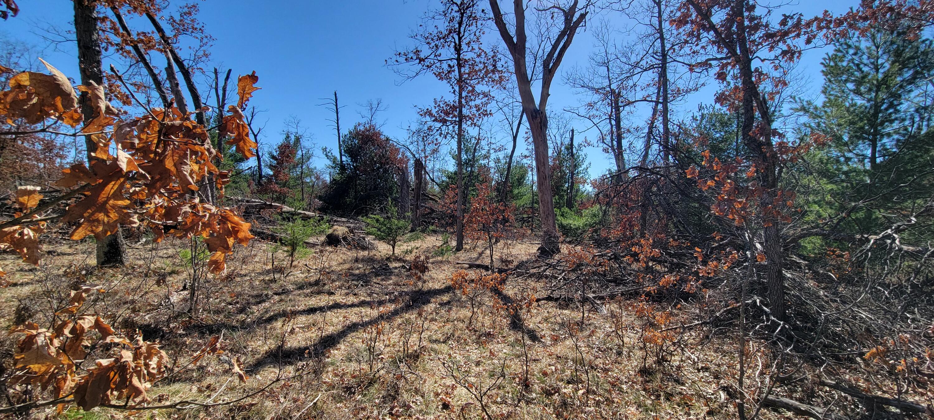 0 West Baldwin Road Baldwin, MI 49304 - Photo 8 of 10 4-4