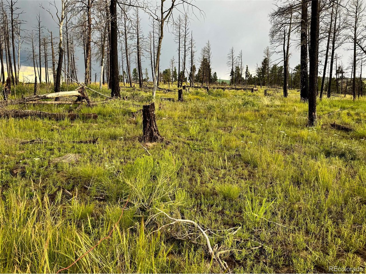 591 Leslie Loop Fort Garland, CO 81133 - Photo 3 of 10