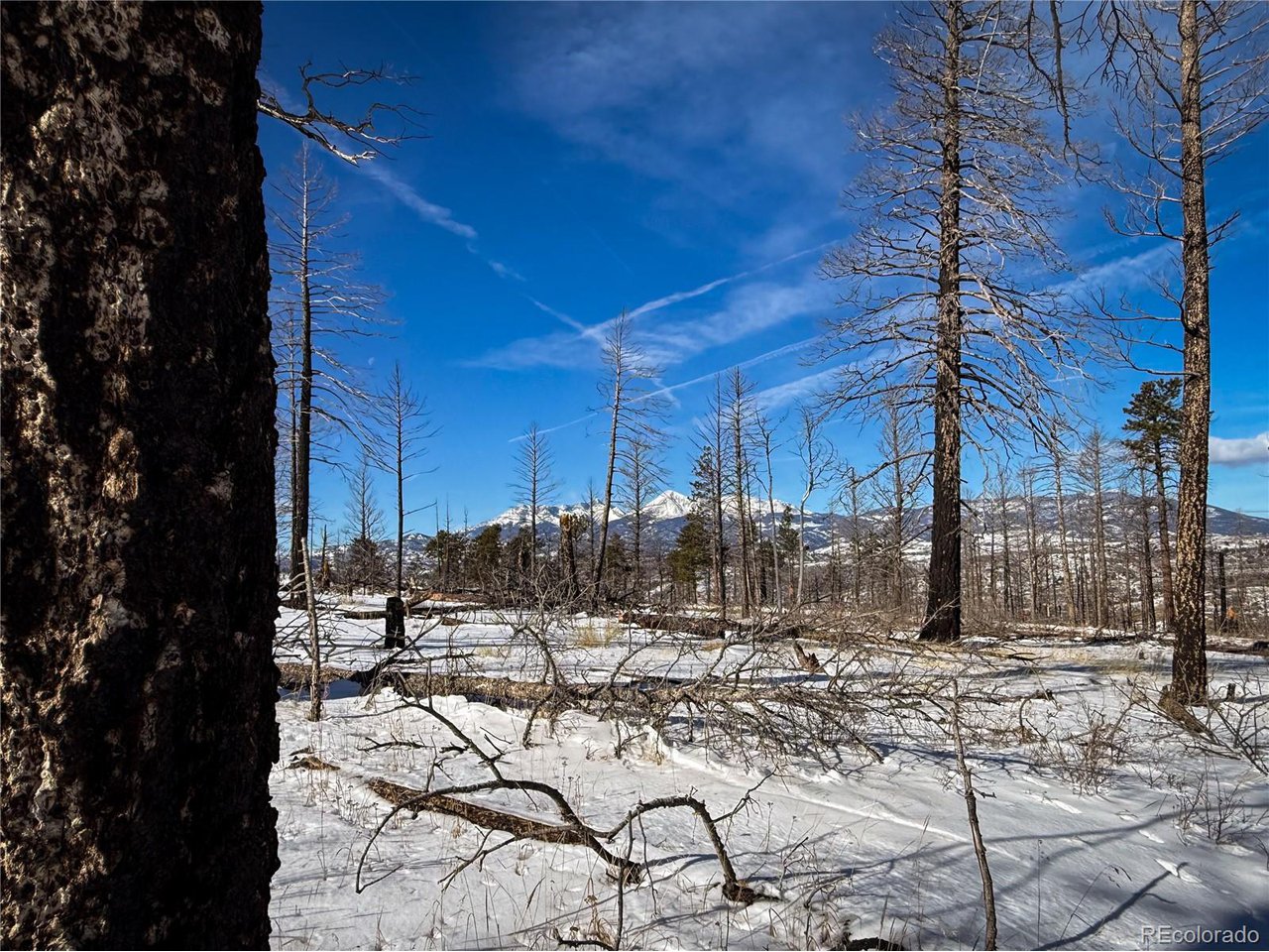 591 Leslie Loop Fort Garland, CO 81133 - Photo 8 of 10 a view of fountain with a yard