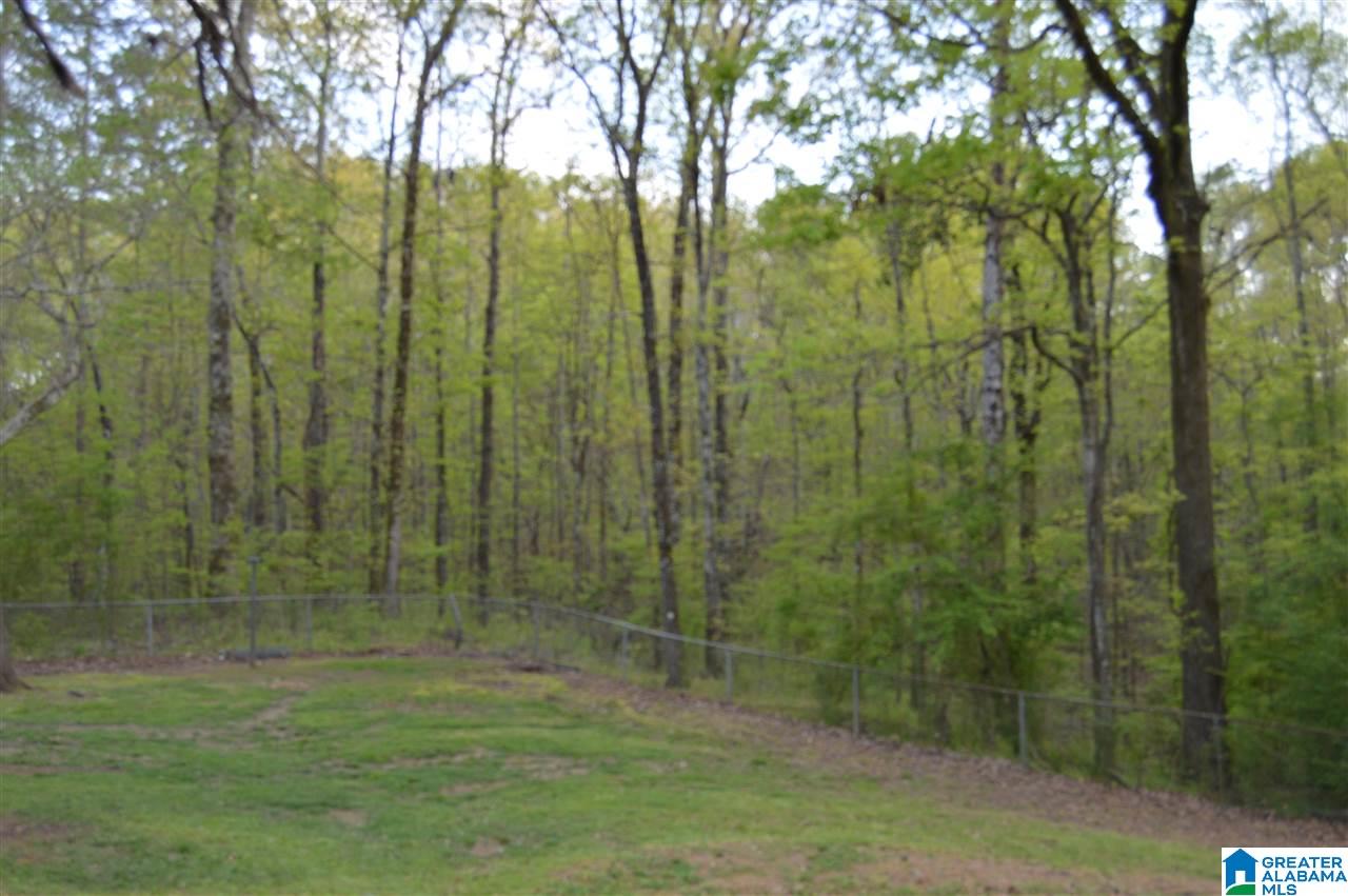 11100 Highway 31 Warrior, AL 35180 - Photo 47 of 47