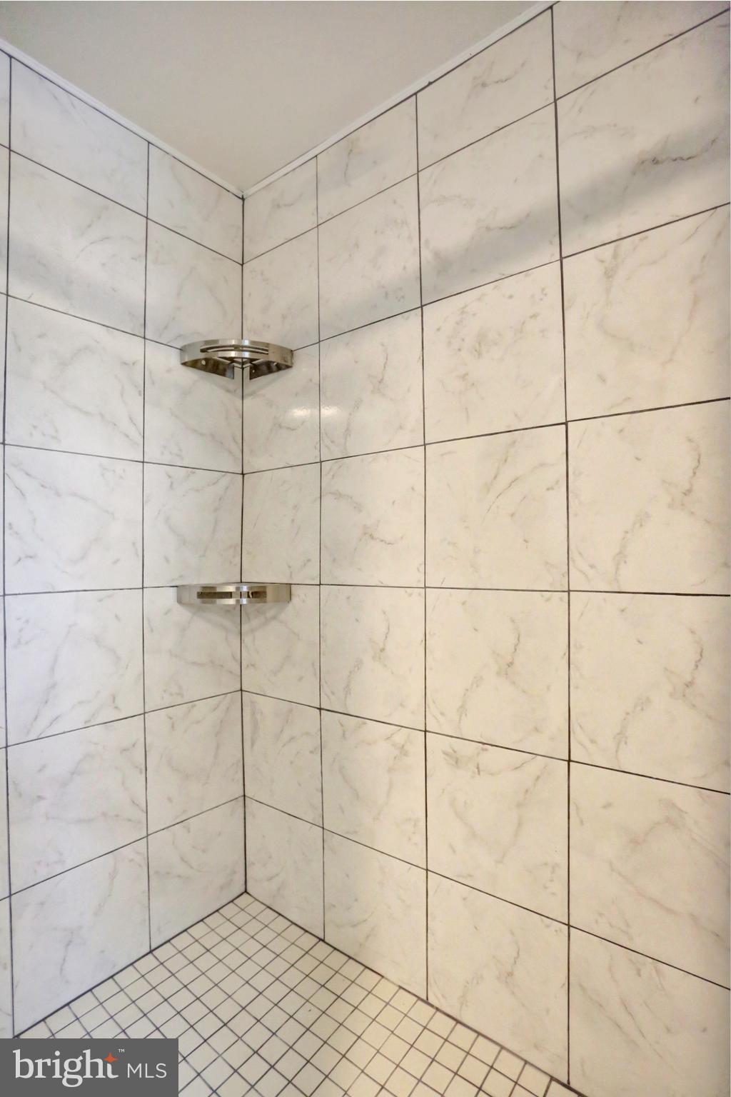 1017 Swarthmore Road New Cumberland, PA 17070 - Photo 22 of 32 Master bath tiled shower