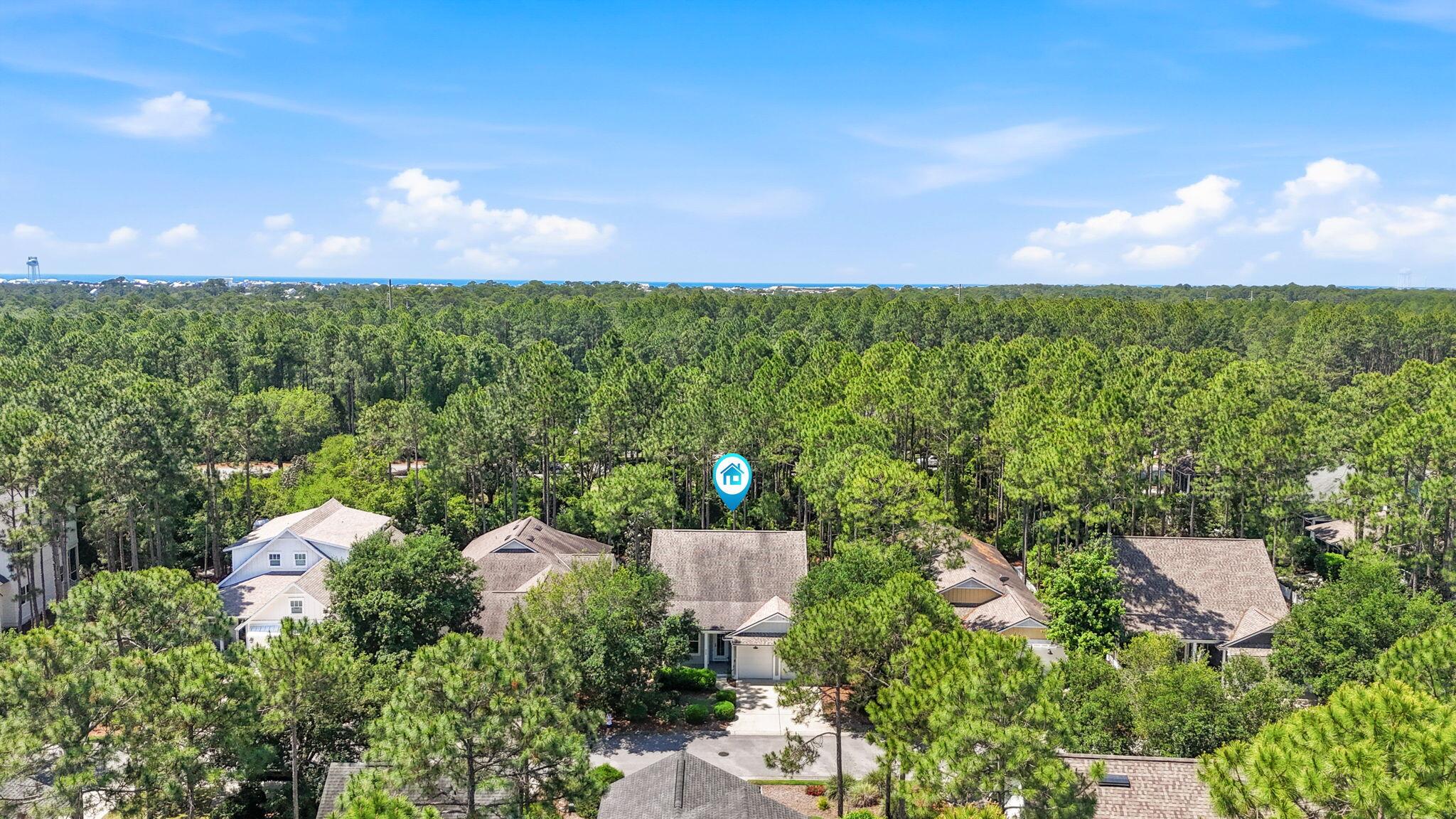 309 Jack Knife Drive Inlet Beach, FL 32461 - Photo 64 of 69 50-web-or-mls-DJI_20260427112057_0053_D%