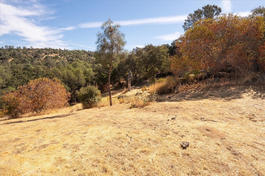 3279 Quail Run Road Mariposa, CA 95338 - Photo 7 of 37