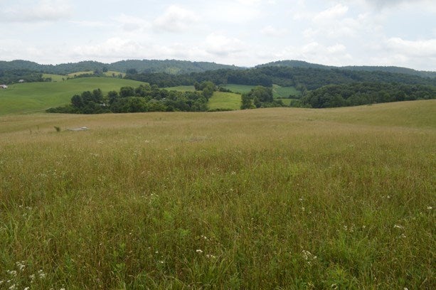 Tbd Cedar Branch Road Saltville, VA 24370 - Photo 34 of 41 Gallery Image 34