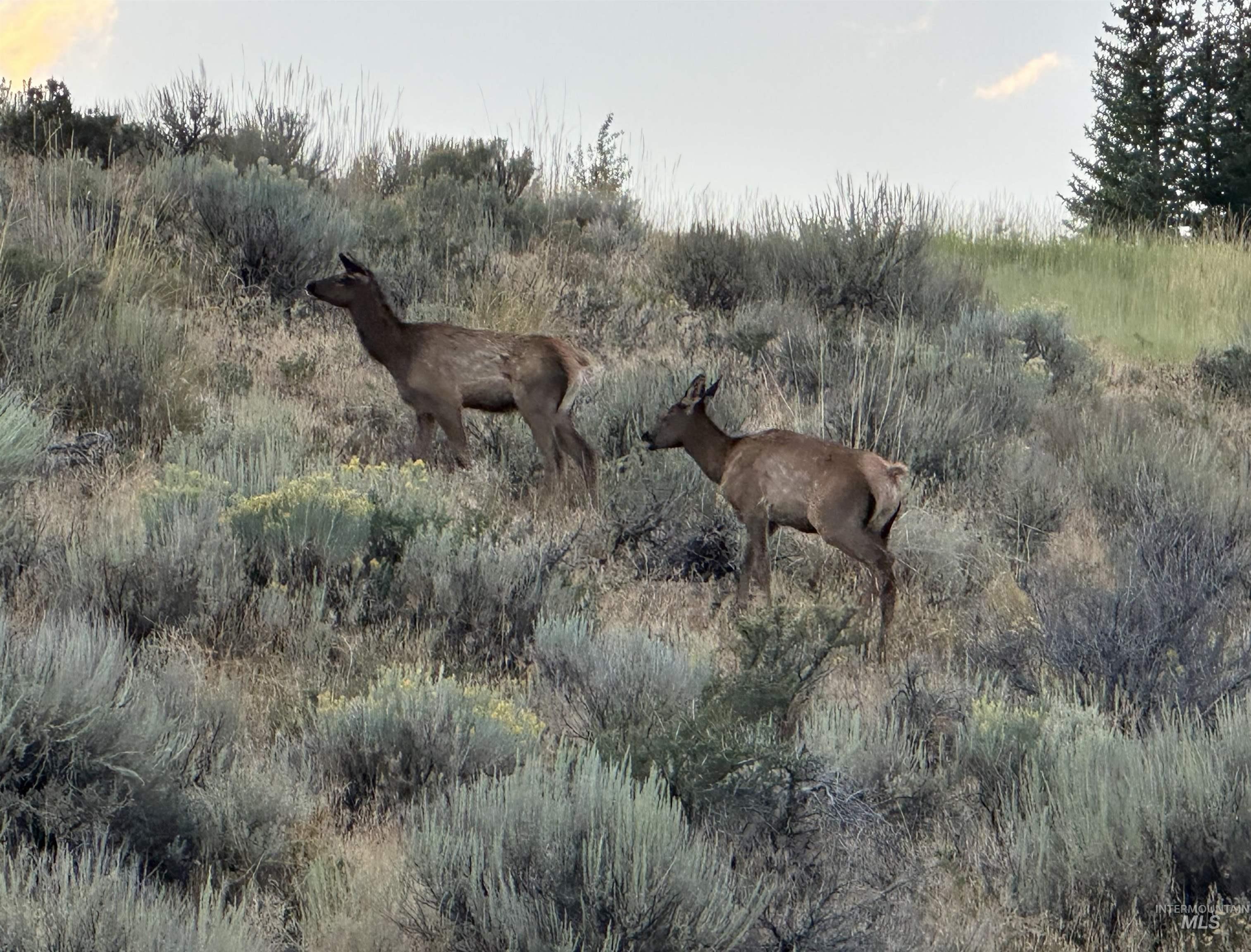 Carrie Creek Road Fairfield, ID 83327 - Photo 22 of 22 Gallery Image 22