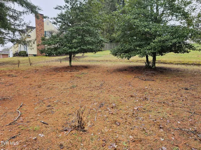 $42,000 | Tbd Southwest Tbd Sw Orchard Lane, Unit 1, Wise, VA 24293