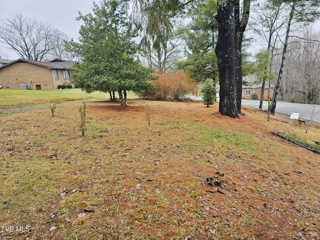 $42,000 | Tbd Southwest Tbd Sw Orchard Lane, Unit 1, Wise, VA 24293