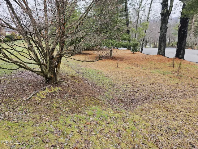 $42,000 | Tbd Southwest Tbd Sw Orchard Lane, Unit 1, Wise, VA 24293