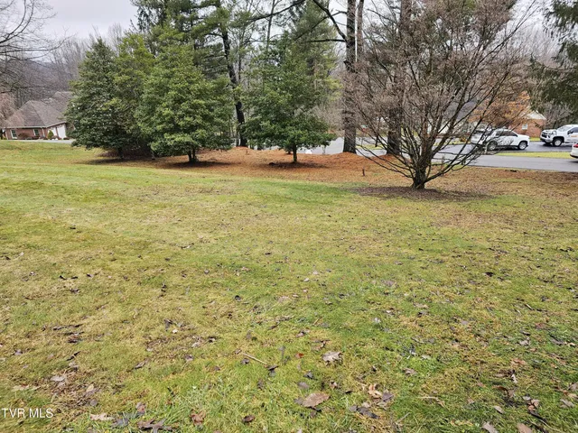 $42,000 | Tbd Southwest Tbd Sw Orchard Lane, Unit 1, Wise, VA 24293