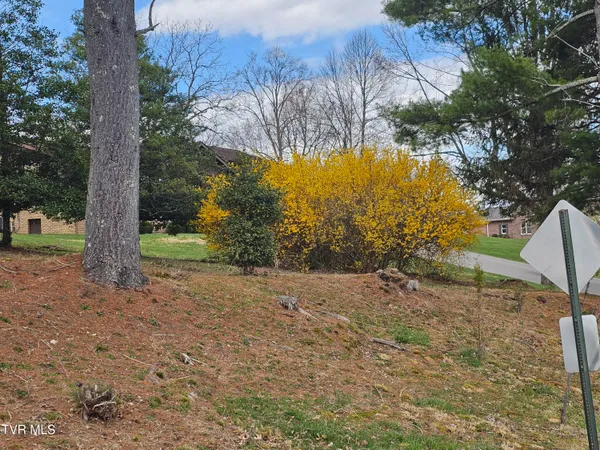 $42,000 | Tbd Southwest Tbd Sw Orchard Lane, Unit 1, Wise, VA 24293