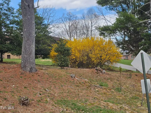 $42,000 | Tbd Southwest Tbd Sw Orchard Lane, Unit 1, Wise, VA 24293