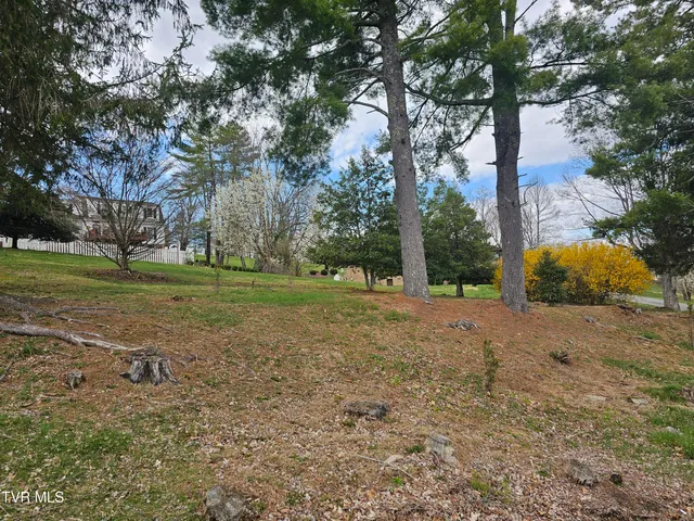 $42,000 | Tbd Southwest Tbd Sw Orchard Lane, Unit 1, Wise, VA 24293