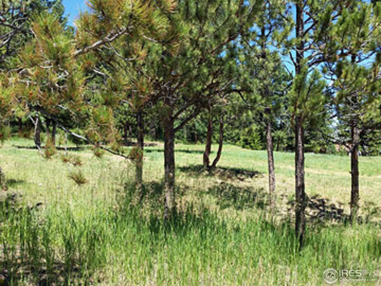 1110 Deer Trail Road Boulder, CO 80302 - Photo 3 of 9 Gallery Image 3