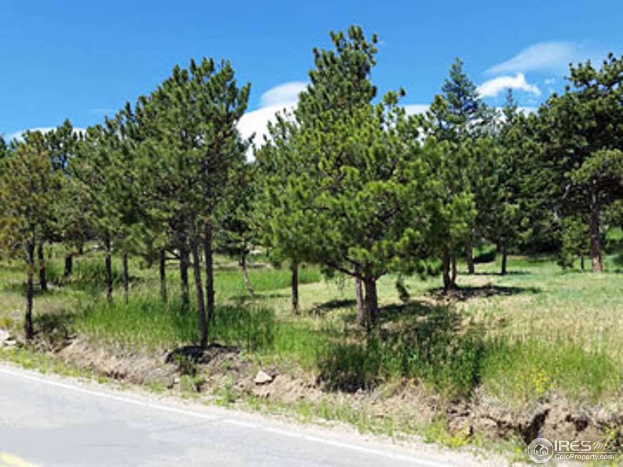 1110 Deer Trail Road Boulder, CO 80302 - Photo 4 of 9 Gallery Image 4