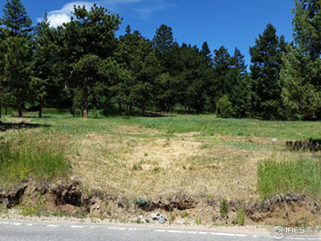 1110 Deer Trail Road Boulder, CO 80302 - Photo 7 of 9 Gallery Image 7