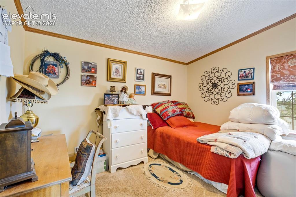 22120 McDaniels Road Calhan, CO 80808 - Photo 18 of 49