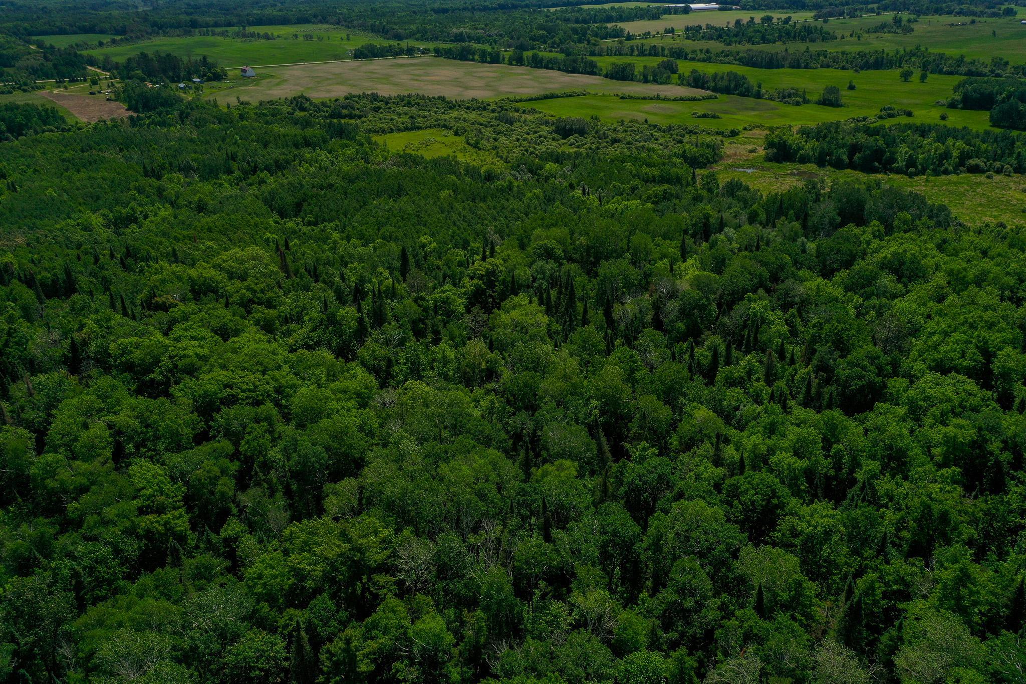 47 Co Highway 47 Osage, MN 56570 - Photo 14 of 59