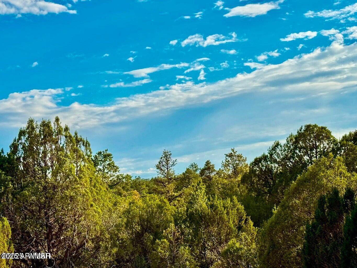 2.54 Acres Aripine Az 85933 Overgaard, AZ 85933 - Photo 11 of 29 a view of a lake