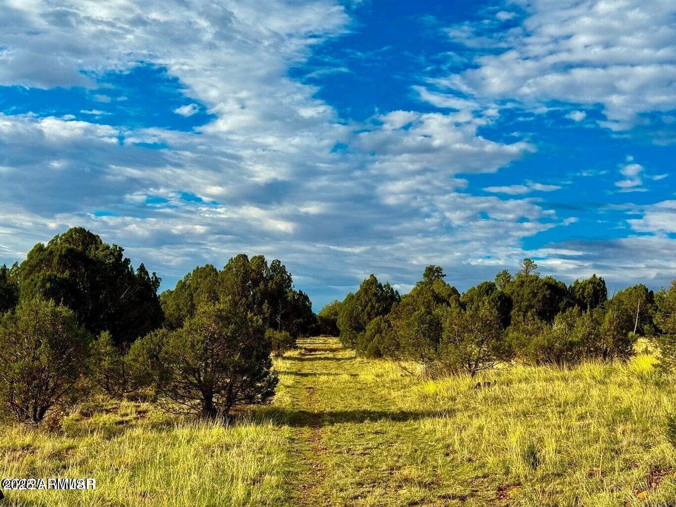 2.54 Acres Aripine Az 85933 Overgaard, AZ 85933 - Photo 13 of 29