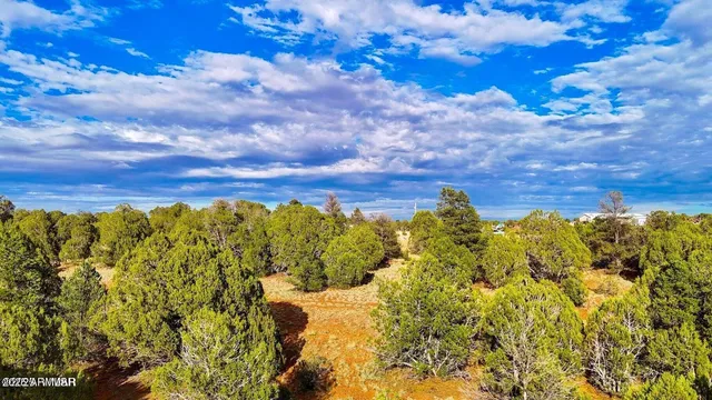 $65,000 | 2.54 Acres Aripine Az 85933, Overgaard, AZ 85933
