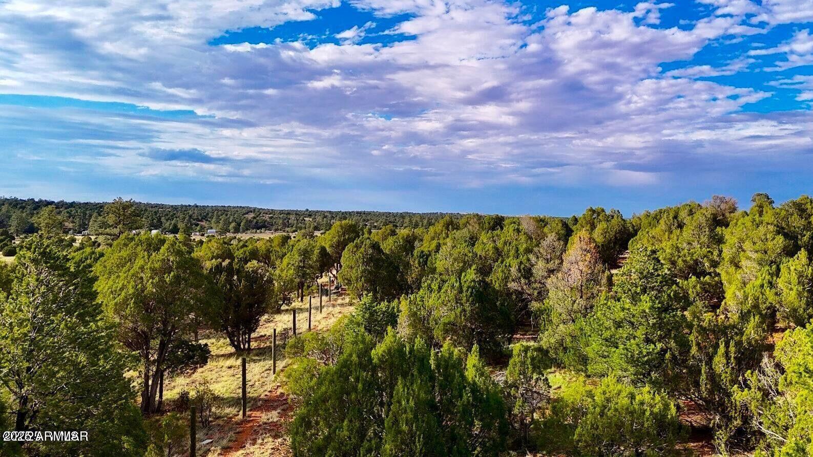 2.54 Acres Aripine Az 85933 Overgaard, AZ 85933 - Photo 17 of 29