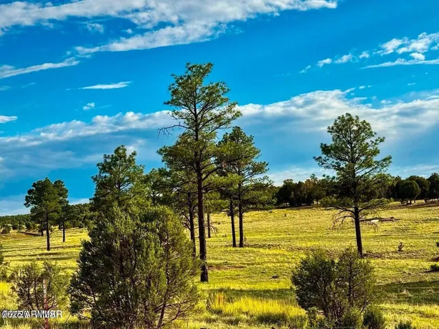 $65,000 | 2.54 Acres Aripine Az 85933, Overgaard, AZ 85933
