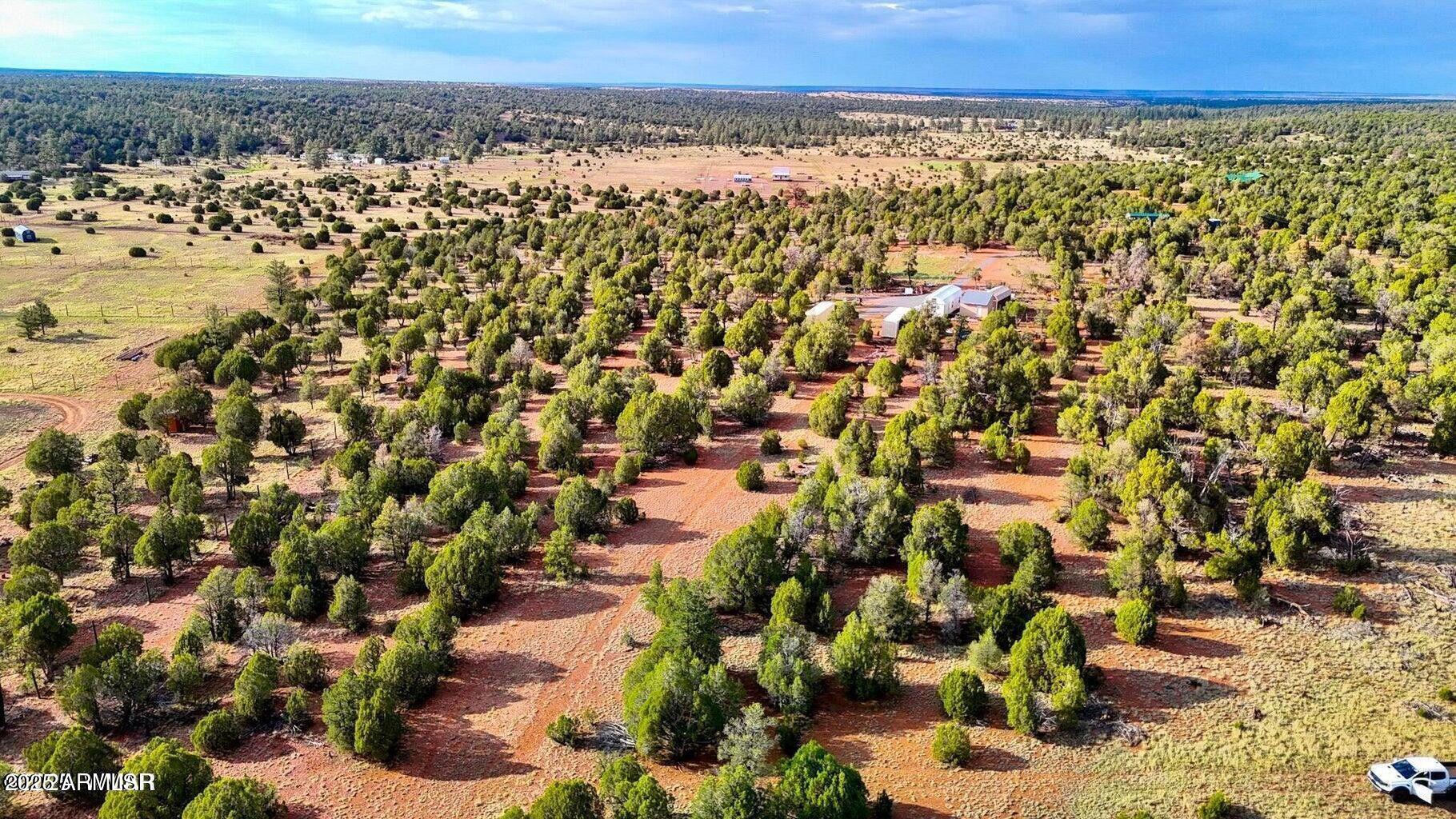 2.54 Acres Aripine Az 85933 Overgaard, AZ 85933 - Photo 6 of 29 a view of a yard