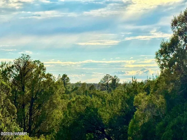 $65,000 | 2.54 Acres Aripine Az 85933, Overgaard, AZ 85933