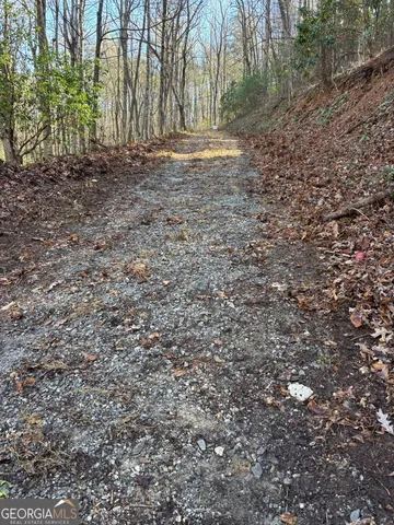 a view of dirt yard with large trees
