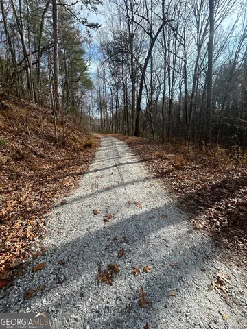 a view of backyard with green space
