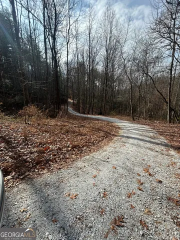 a view of a yard with trees
