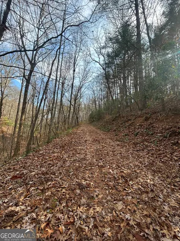 a view of a yard with large trees