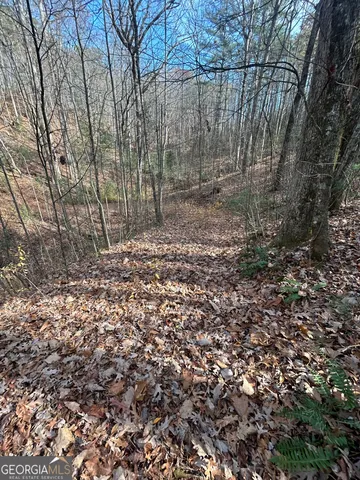 a view of a yard with large trees
