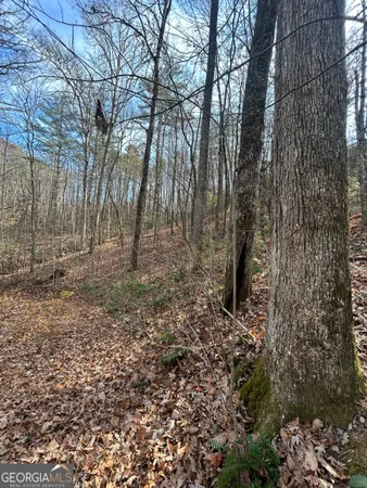 a view of outdoor space with deck and tree