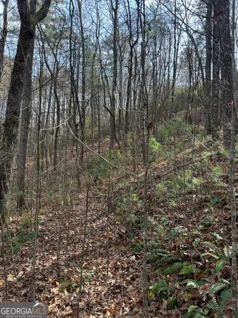 a street sign that is on a pole