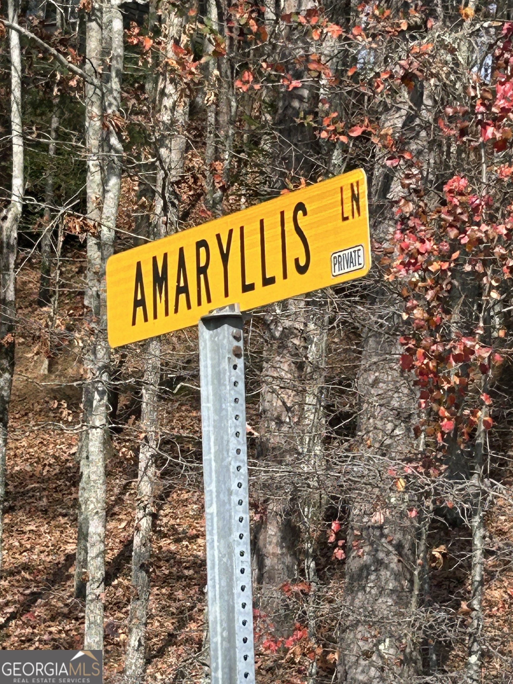0 Amaryllis Lane Tiger, GA 30576 - Photo 9 of 10 a street sign that is on a pole